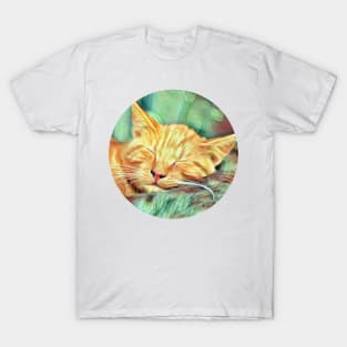 Fuzzy floppy cat T-Shirt